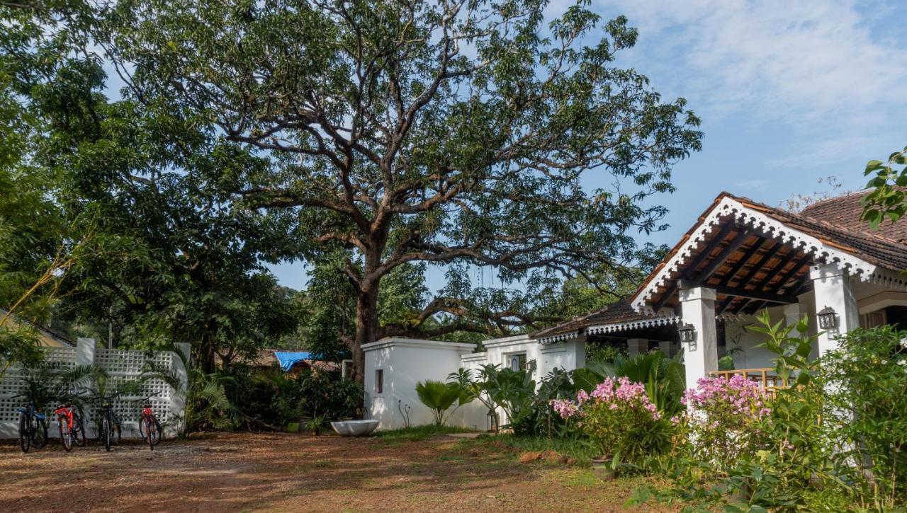 The Island Sanctuary - A Village Secret Chorao Exteriér fotografie